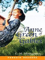 Story-Anne of Green Gables