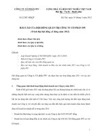 Báo cáo của  hội đồng quản trị công ty cổ phần PIV