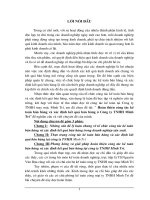 Một số giải pháp hoàn thiện công tác kế toán nhập khẩu hàng hoà và tiêu thụ hàng hoá nhập khẩu tại Công ty cổ phần XNK kỹ thuật Technimex