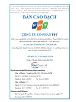 Bản cáo bạch công ty cổ phân FPT