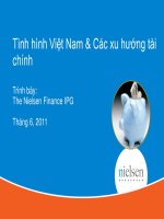 Tình hình việt nam và các xu hướng tài chính