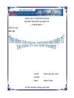 Tình hình ứng dụng thương mại điện tử tại công ty sài gòn Tourist