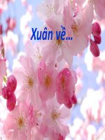 Xuân về