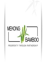 Mekong Bamboo