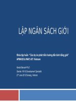 Lập ngân sách giới