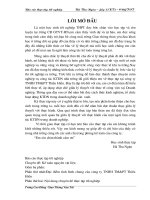 Kế toán nguyên vật liệu Công ty TNHH TM&PT Thiều Hiền 