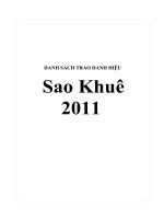 Danh sách trao danh hiệu Sao khuê 2011