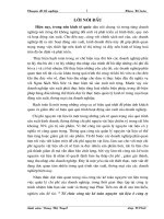 Tổ chức công tác kế toán nguyên vật liệu ở Công ty TNHH sản xuất và thương mại Phúc Tiến