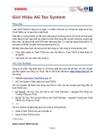 Giới thiệu AG Tax Systemx
