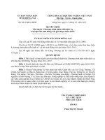 Quyết định phê duyệt chương trình phát triển dịch vụ trên địa bàn tỉnh Đồng nai giai đoạn 2011-2015