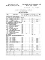 Chương trình đào tạo khóa 10 ngành tin học