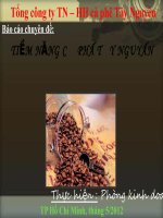 tiềm năng cafe tây nguyên