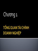 Tổng quan tài chính doanh nghiệp