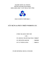 Xây dựng và phát triển website C2C