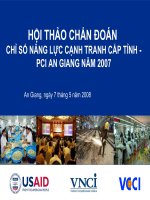Hội thảo chẩn đoán chỉ số năng lực cạnh tranh cấp tỉnh- PCI an giang năm 2007