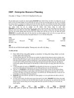  Giải pháp quản trị nguồn nhân lực Enterprise Resource Planning 