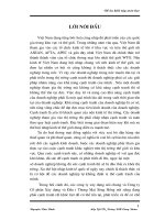 Các giải pháp nâng cao hiệu quả hoạt đông Marketing tại Công ty Cổ phần Xây dựng và Đầu tư Thương mại Sông Hồng