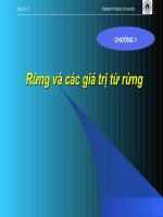 Bài giảng rừng và các giá trị từ rừng