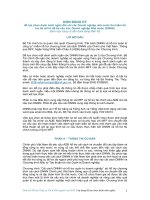 ĐƠN ĐĂNG KÝ để lựa chọn danh sách ngắn đối với các Doanh nghiệp nhà nước tìm kiếm hỗ trợ tài chính để tái cấu trúc Doanh nghiệp Nhà nước (DNNN)