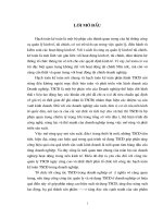 Tổ chức công tác kế toán tài sản cố định tại Công ty cổ phần may Thăng Long