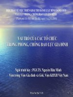 Vai trò các tổ chức trong phòng, chống bạo lực gia đình