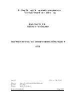 Báo cáo tiến độ 6 tháng đầu năm 2010 hợp phần sản xuất sạch hơn trong công nghiệp