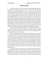 Kế toán tổng hợp tại Công ty xây lắp điện Hà Nội (các nghiệp vụ, tài khoản chữ T)