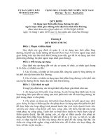 Quy định sử dụng tạm thời phần lòng đường, hè phố ngoài mục đích giao thông trên địa bàn tỉnh hải dương