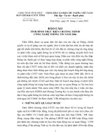 Báo cáo tình hình thực hiện chương trình công nghệ thông tin năm 2004