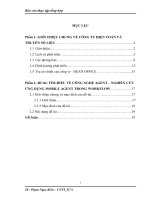 Công ty điện toán và truyền số liệu (CNTT)