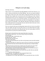 Thông tin vị trí tuyển dụng