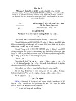 Mẫu quyết định phê duyệt đề án bảo vệ môi trường chi tiết