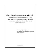 HOÀN THIỆN HỆ THỐNG VĂN BẢN  PHÁP LUẬT VIỆT NAM LIÊN QUAN ĐẾN TỘI PHẠM  CÔNG NGHỆ THÔNG TIN VÀ TRUYỀN THÔNG