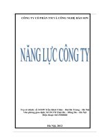 Năng lực công ty cổ phần TM và Công nghệ bảo sơn