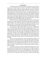 Kế toán bán hàng và xác định kết quả kinh doanh tại Công ty cổ phần Đồng Nghiệp