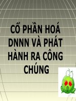 Cổ phần hóa doanh nghiệp nhà nước và phát hành ra công chúng