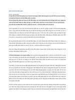 Bàn về mô hình Hiến pháp