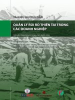 Quản lý rủi ro thiên tai trong các doanh nghiệp