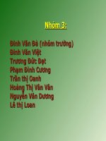 Mặt trái của đầu tư trực tiếp nước ngoài ở Việt nam