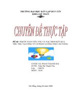 Kế toán tiêu thụ hàng hoá và xác định tiêu thụ tại Công ty cổ phần Lương Thực Đà Nẵng