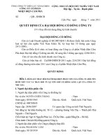 Quyết định của đại hội đồng cổ đông công ty cổ phần nhiệt điện cẩm phả
