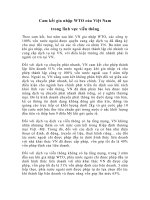 Cam kết gia nhập WTO của Việt Nam  trong lĩnh vực viễn thông