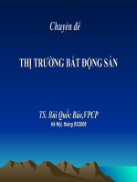 Chuyên đề- thị trường bất động sản