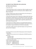 Tập huấn kỹ thuật trồng rừng keo lai giâm hom