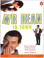 Story-Mr. Bean in Town