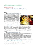 Năng lượng xanh Group