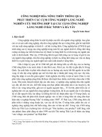 Công nghiệp hóa nông thôn thông qua phát triển các cụm công nghiệp làng nghề