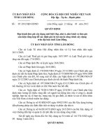 Ban hành đơn giá xây dựng mới biệt thự, nhà ở, nhà kính và đơn giáx