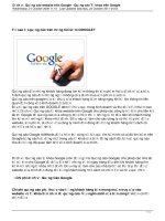 Quảng cáo trên mạng tìm kiếm google