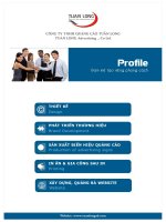 Profile công ty TNHH quảng cáo tuấn long